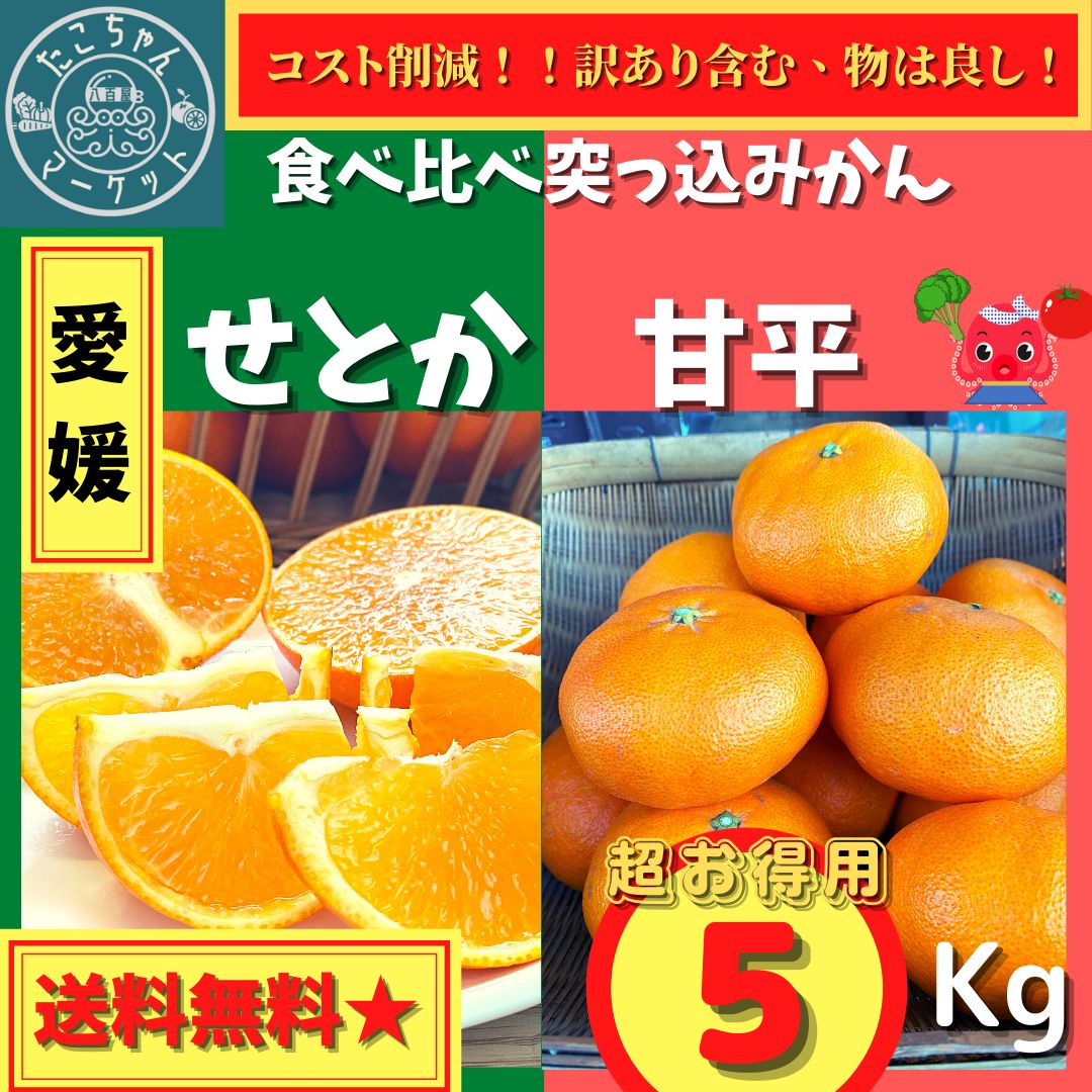 緊急セール【希少☆食べ比べ突っ込みかん】愛媛県 サイズは