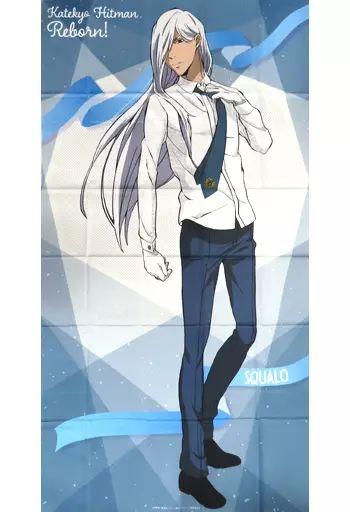 正規品，低価 【中古】ポスター 選べる!等身大布ポスター スクアーロ
