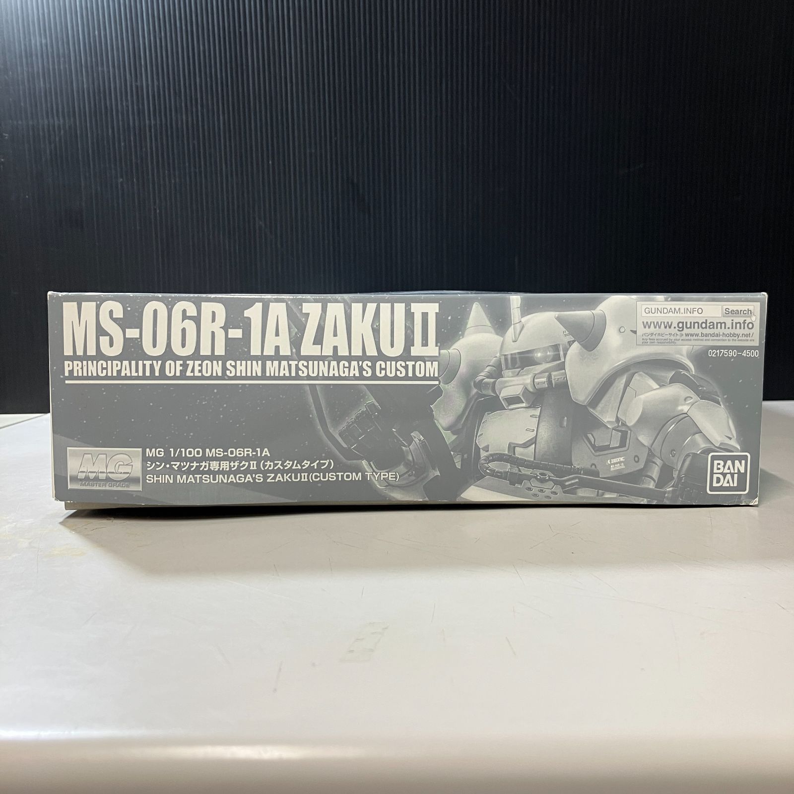 むつ42-100210 MG シン マツナガ ザクⅡ