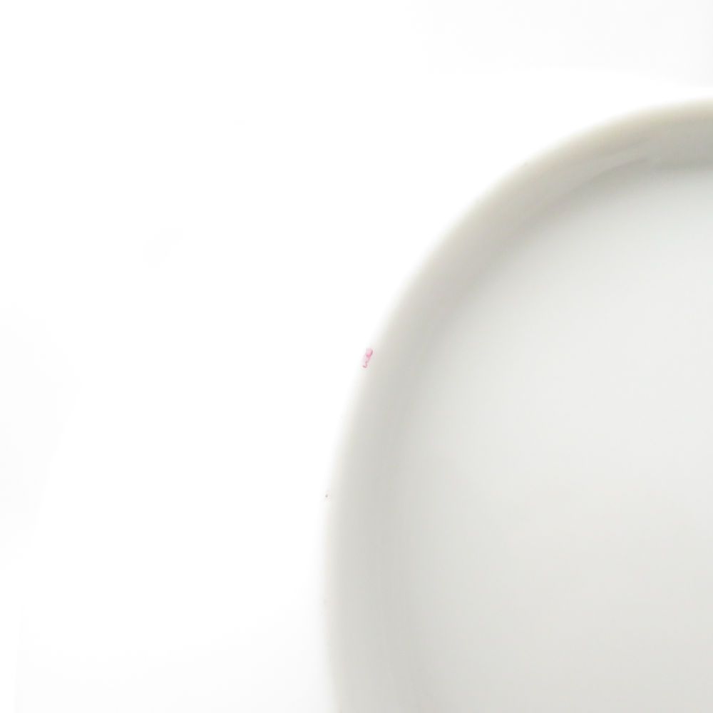 リチャードジノリ