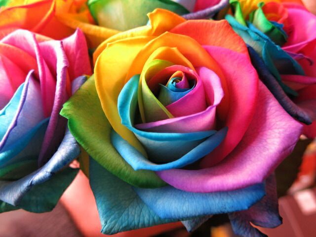 レインボーローズ 花束