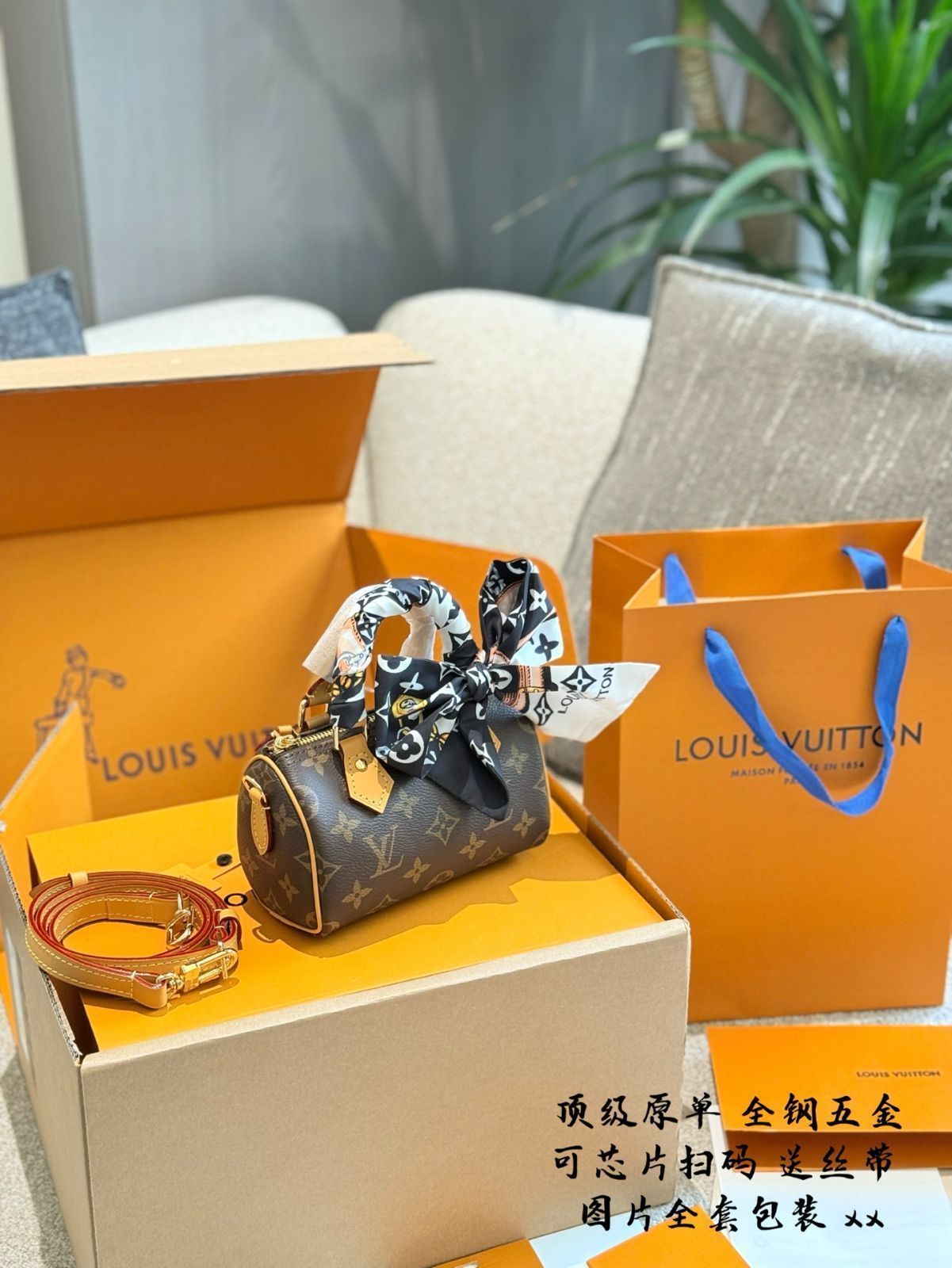 今日 LV Speedy Nano Pillow Bag Monogram