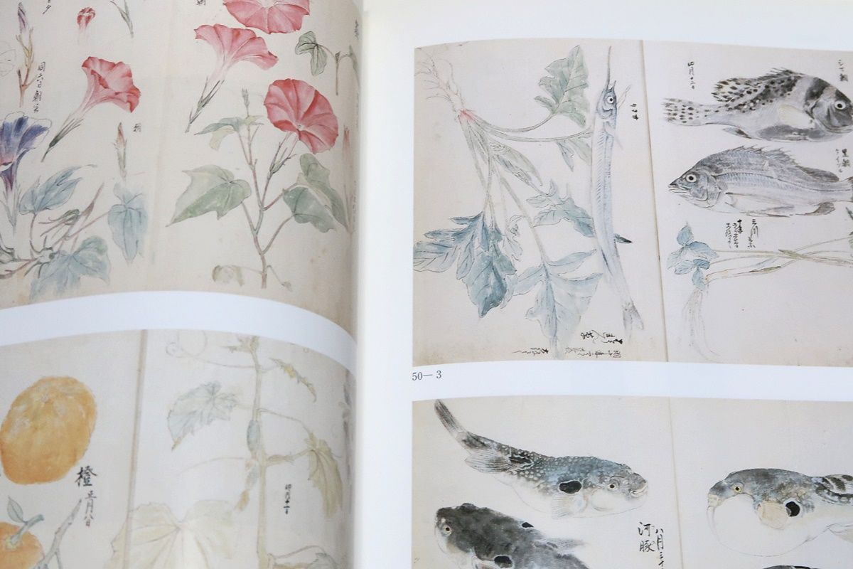 明治の彫金・加納夏雄とその時代/幕末・明治の彫金家・刀装具