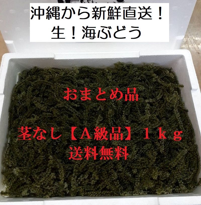 沖縄】茎なしA級品 生！海ぶどう１ｋｇ（シークヮーサー果汁入りタレ付