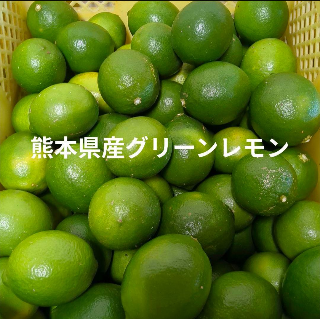 特別栽培 農家直送 熊本県産グリーンレモン19kg 迅速対応致します