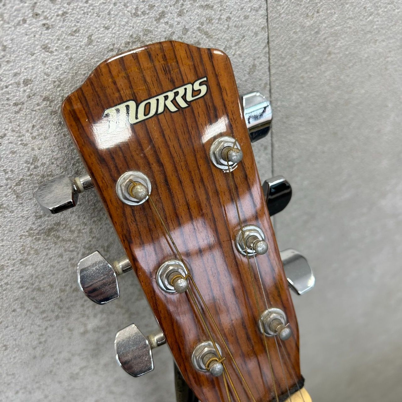 Morris アコースティックギター F-02SBU 青 6弦 弦楽器 アコギ