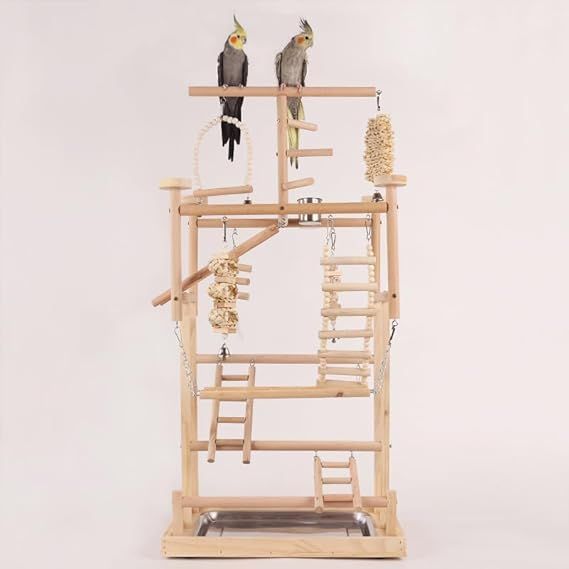 オウムアスレチックスタンド 楽天市場】【スーパーSALE限定価格】インコ 遊び場 バード
