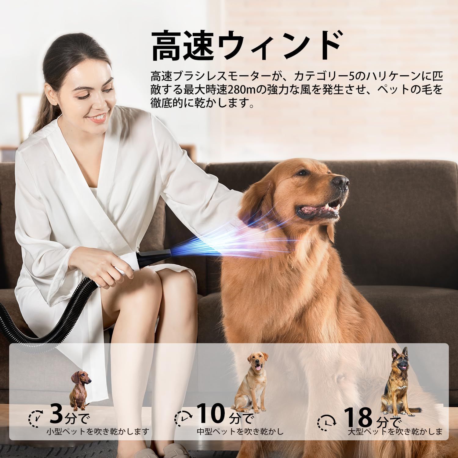 犬用