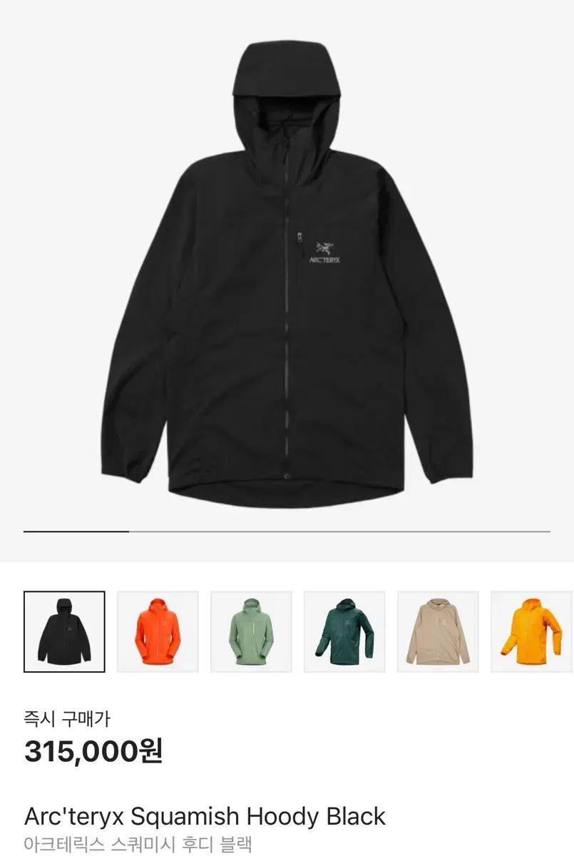 ARC TERYX アークテリクス スコーミッシュ フーディ ブラック