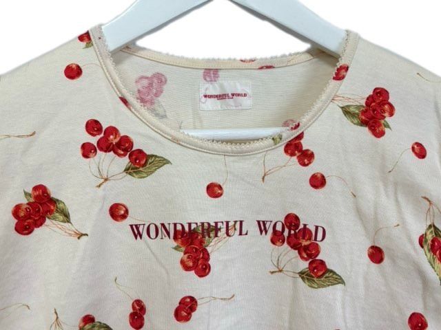 ワンダフルワールド WONDERFUL WORLD カネコイサオ カットソー