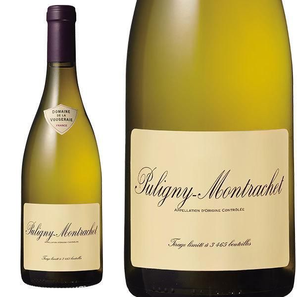 禅食 ZEN49＋ スーパープレミアムリッチ55袋入り 城咲仁 未開封 ZEN49+