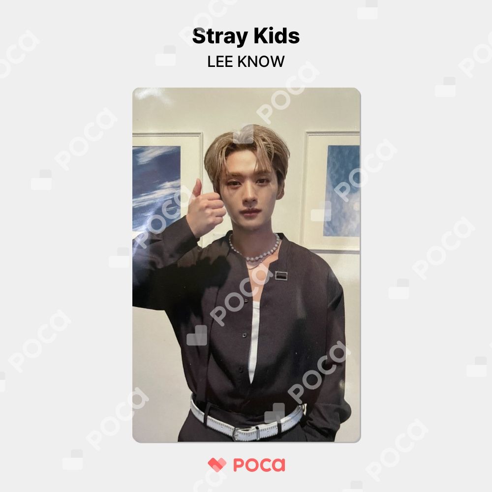 straykids maxident トレカ　リノ Stray kids リノ MAXIDENT トレカ 店舗特典 スキズ アプミュ