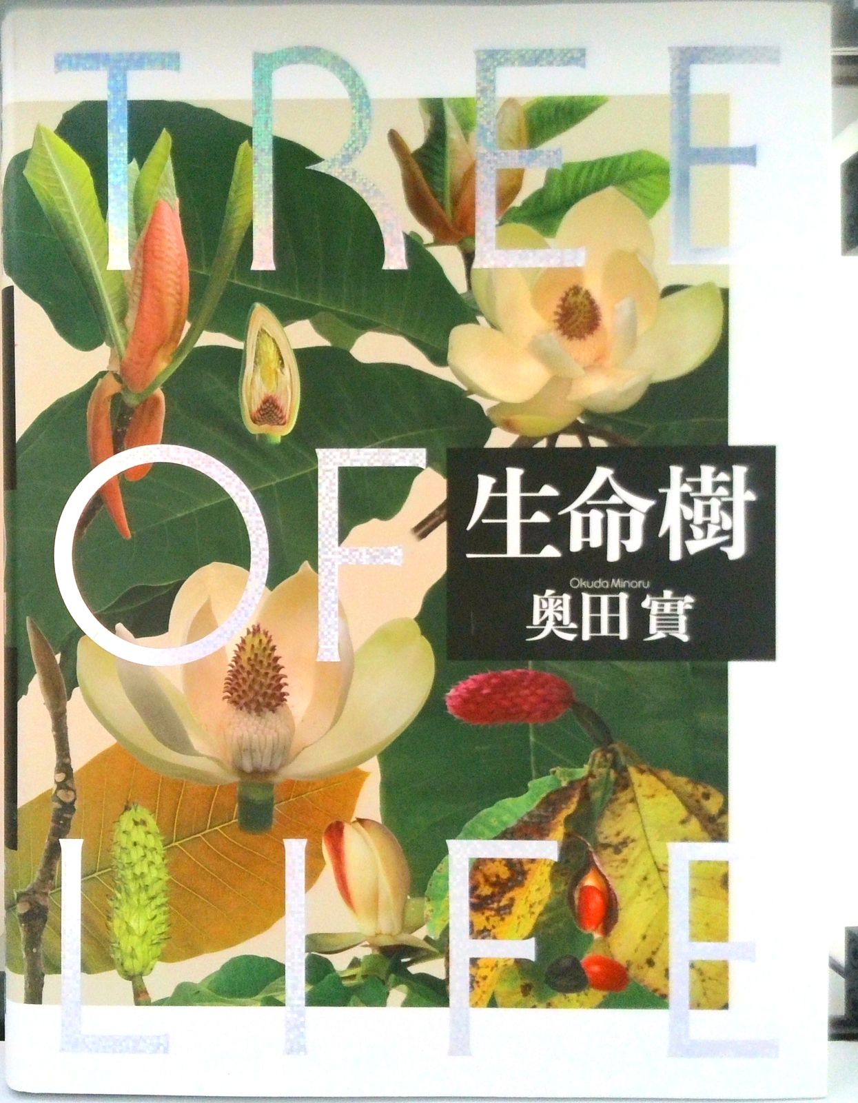 TREE OF LIFE 生命樹 奥田實 絶版 貴重本 植物 写真集 図鑑 2025,新作】 TREE OF LIFE 生命樹 奥田實 絶版 貴重本 植物 写真集 図鑑 2025,新作】