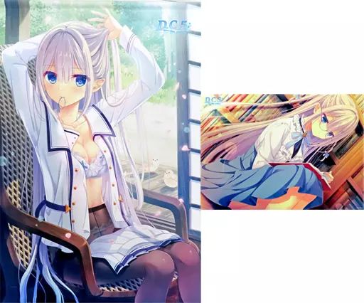 その他雑貨 2大特典セット PCソフト D.C.5 ～ダ カーポ5～ ソフマップ有償特典