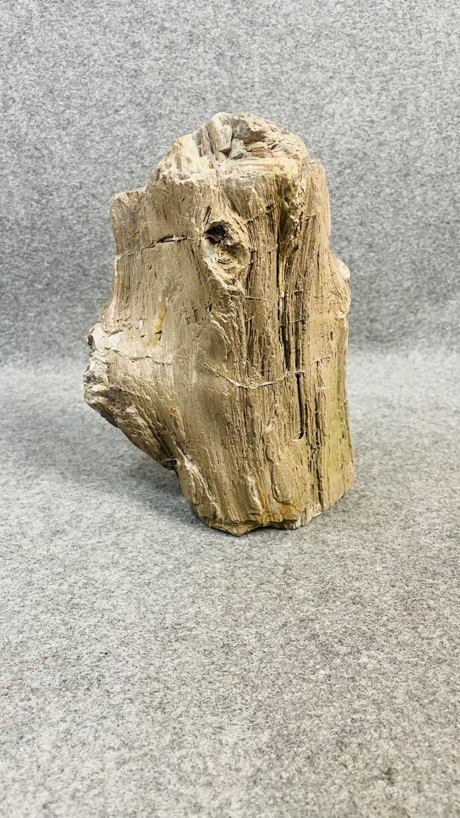 天然木石 珪化木 化石 樹木石 原石 観賞石 高さ約24.5cm 重量約4.5kg