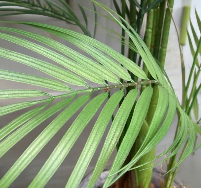 光触媒 人工観葉植物 ウォールグリーン フェイクグリーン 花器付