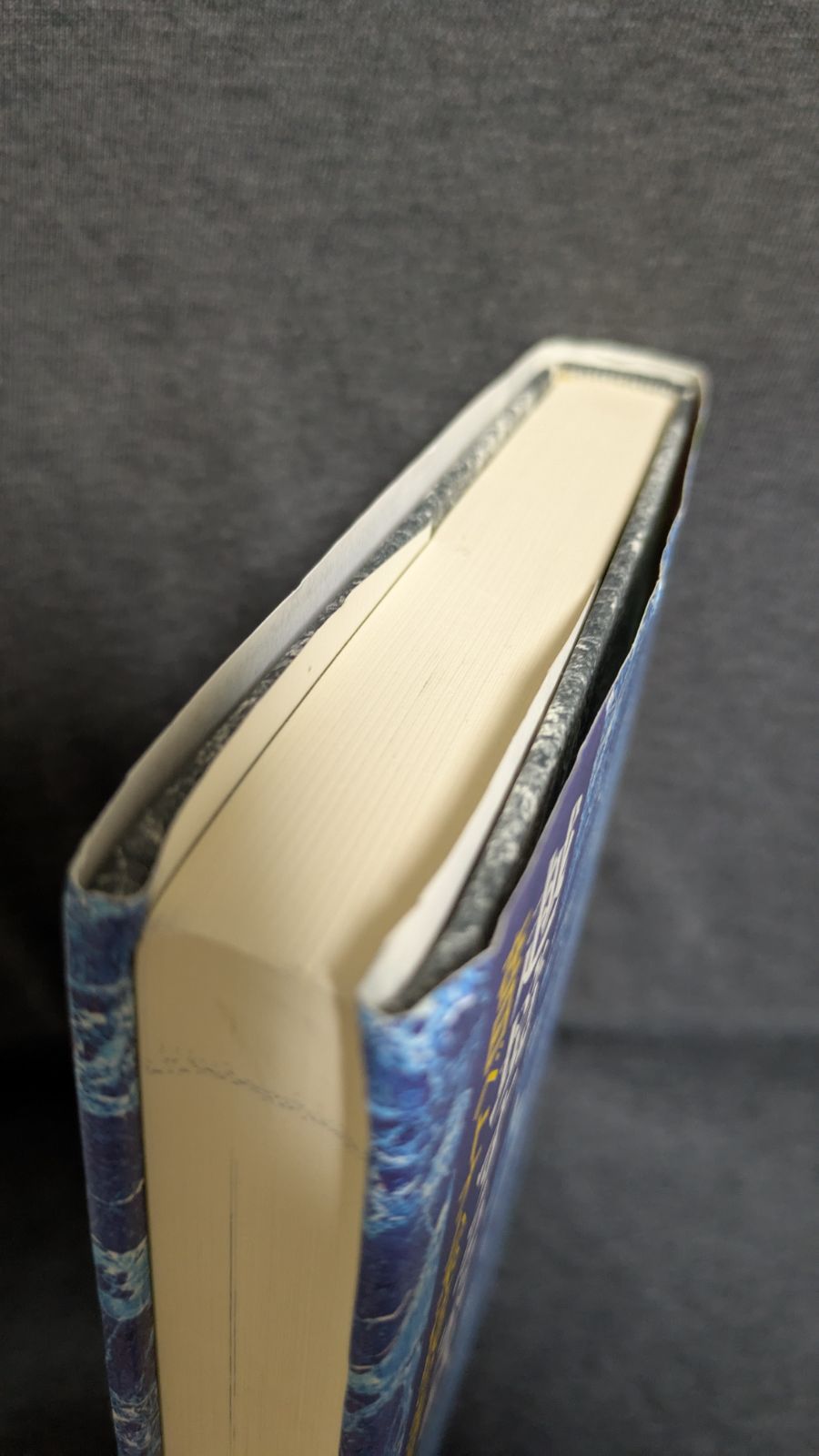 【中古】 越境する家族 在日ベトナム系住民の生活世界/明石書店/川上郁雄 越境する家族: 在日ベトナム系住民の生活世界 | 川上 郁雄 |本