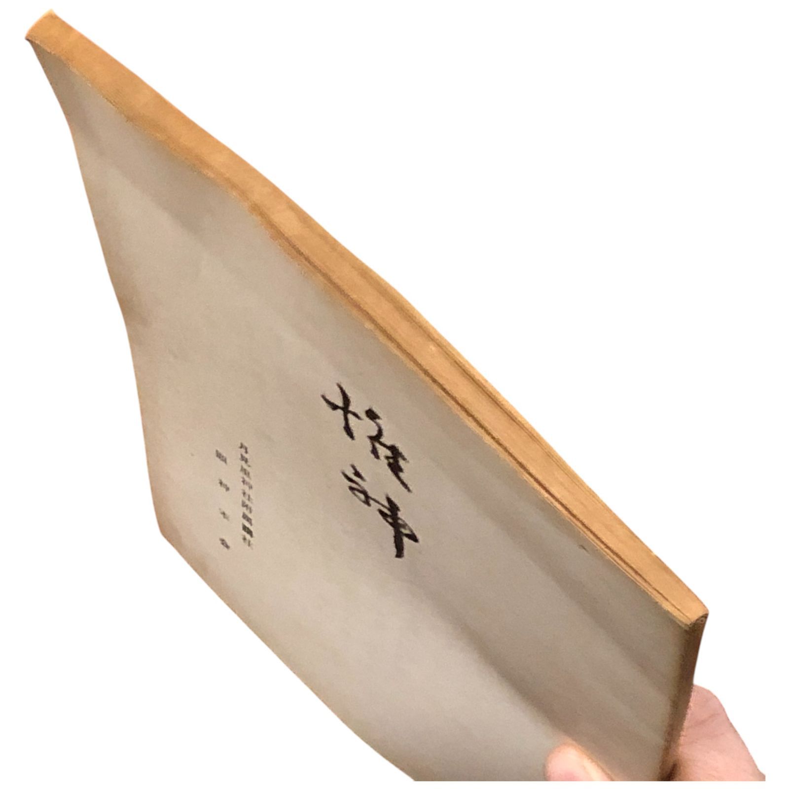 憑依現象の定義