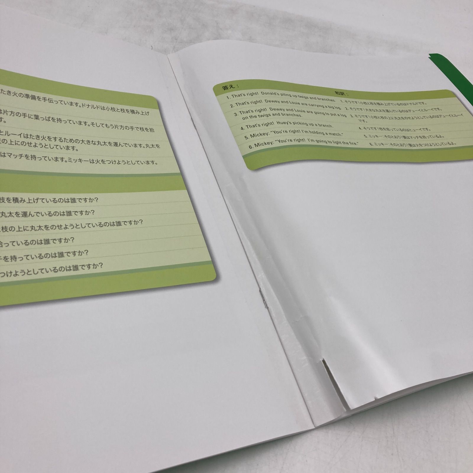 トークアロング・Q＆Aカード 両面デジタル ディズニー英語