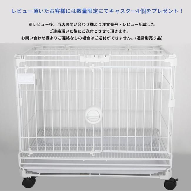 犬