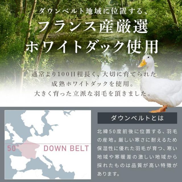 抗菌 防臭