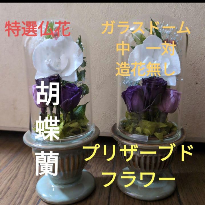特選仏花 　胡蝶蘭 花器無し　 造花無し　大　一対 プリザーブドフラワー 特選仏花 ガラスドーム 中 一対 胡蝶蘭 プリザーブドフラワー 造花無し