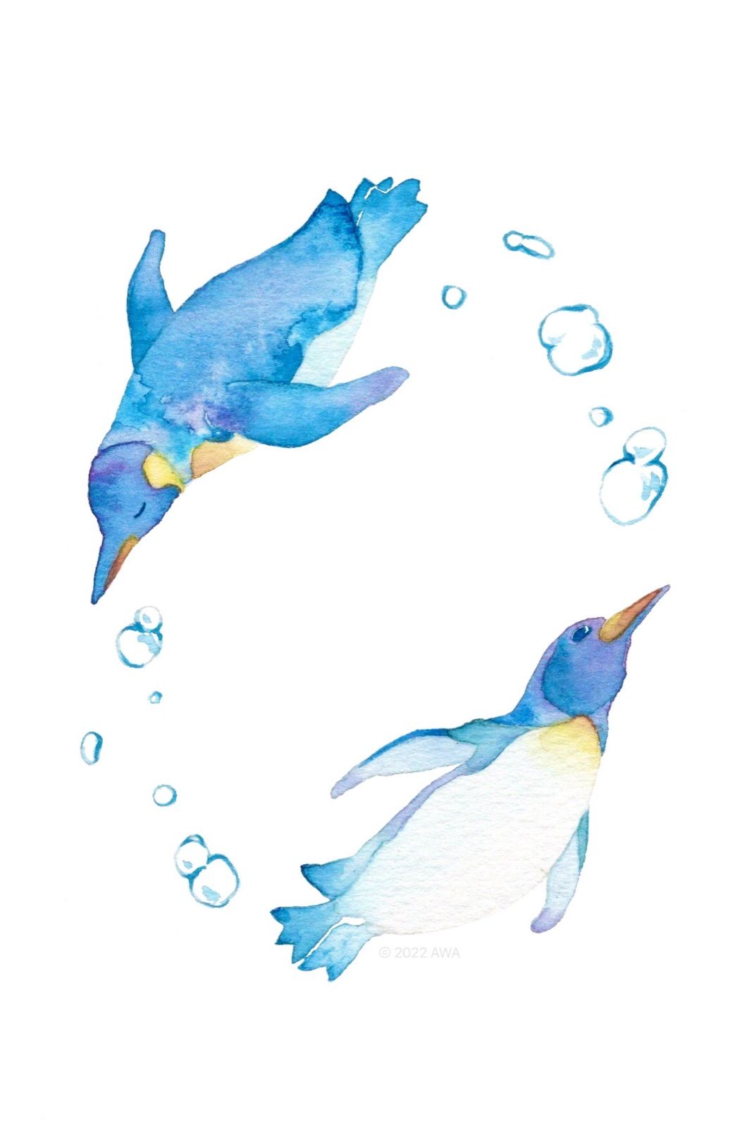 メルカリshops 王様ペンギン ポストカード 絵はがき 動物イラスト 透明水彩 オウサマペンギン