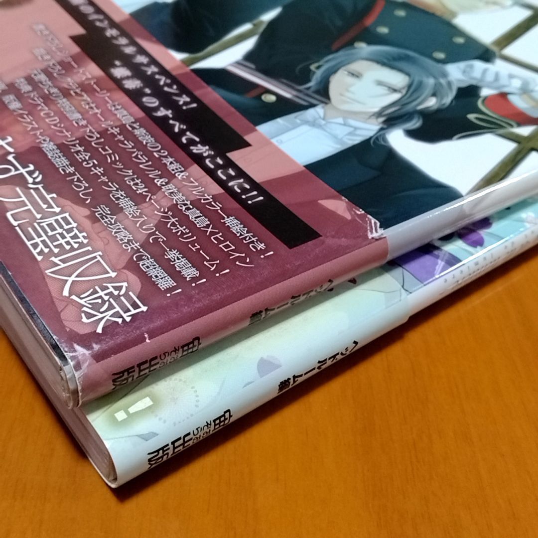 蝶の毒 華の鎖 幻想夜話 公式ビジュアルファンブック 2冊セット