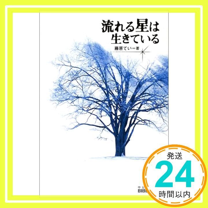 流れる星は生きている 中公文庫 Jul 25 2002 藤原 てい_03