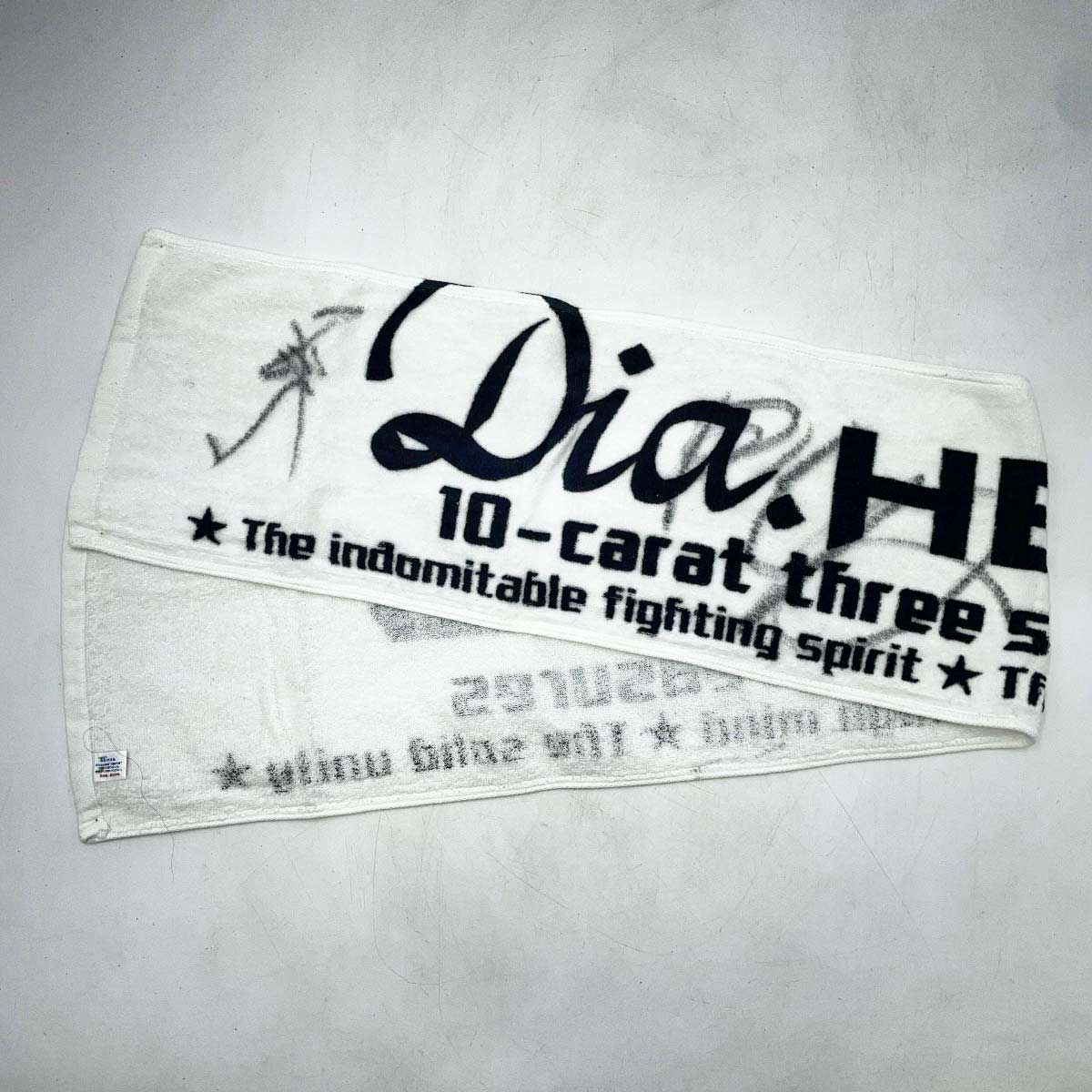 闘龍門 ドラゴンゲート プロレス タオル 望月成晃 KZY ビッグR清水