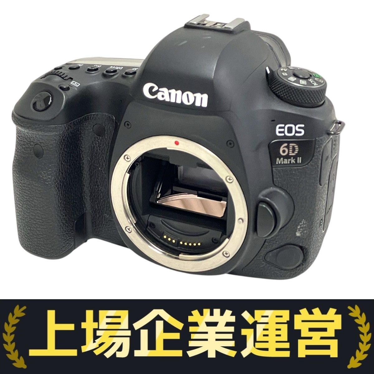Canon EOS 6D Mark II ボディ キヤノン デジタル 一眼レフ