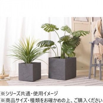 グリーンベース