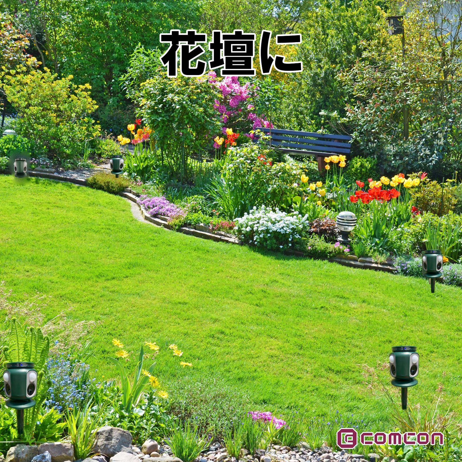 野良