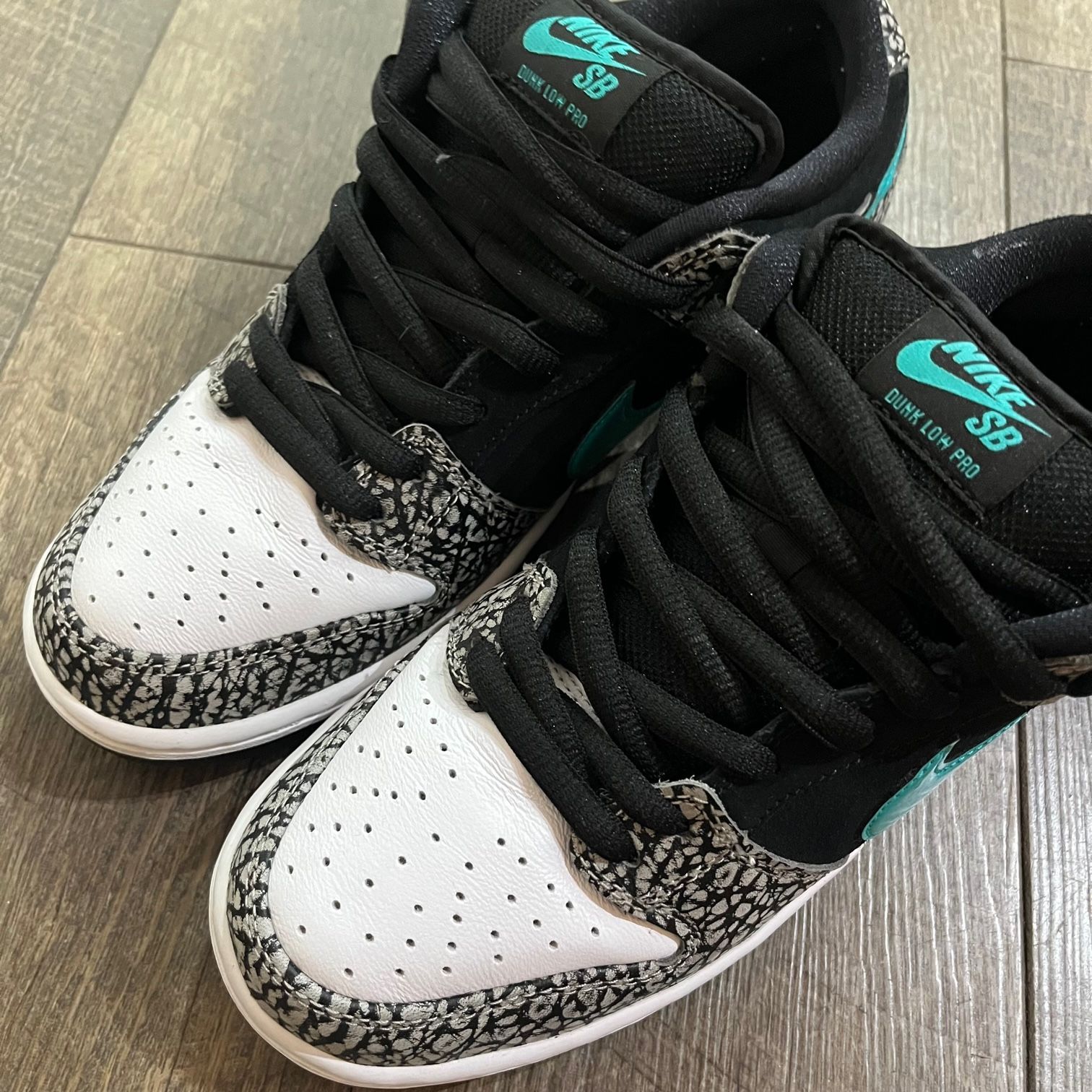 NIKE SB DUNK LOW PRO 