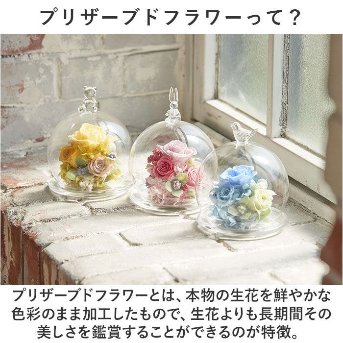 ガラス蓋付きデキャンター、フラワーアレンジメントSIA 【公式通販】