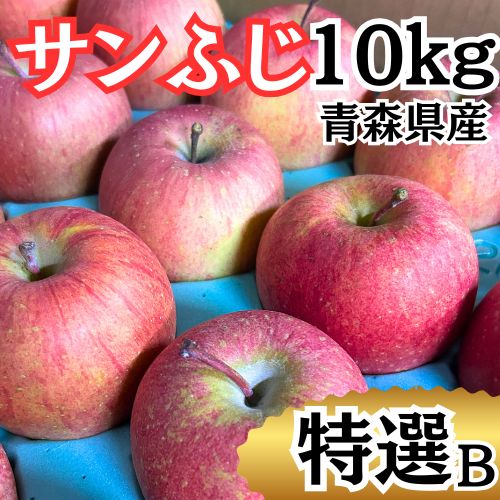 厳選 特選B 10kg 市場直送 サンふじ 青森県産 特選 ≪ ≫ 贈答用 サンフジ りんご リンゴ 試食