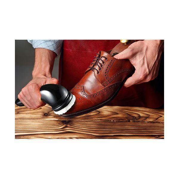  キヨラカ 電動靴磨き器 くつピカ君 DK-M 01 玄関用 靴箱用 芳香剤 除湿剤 防虫剤