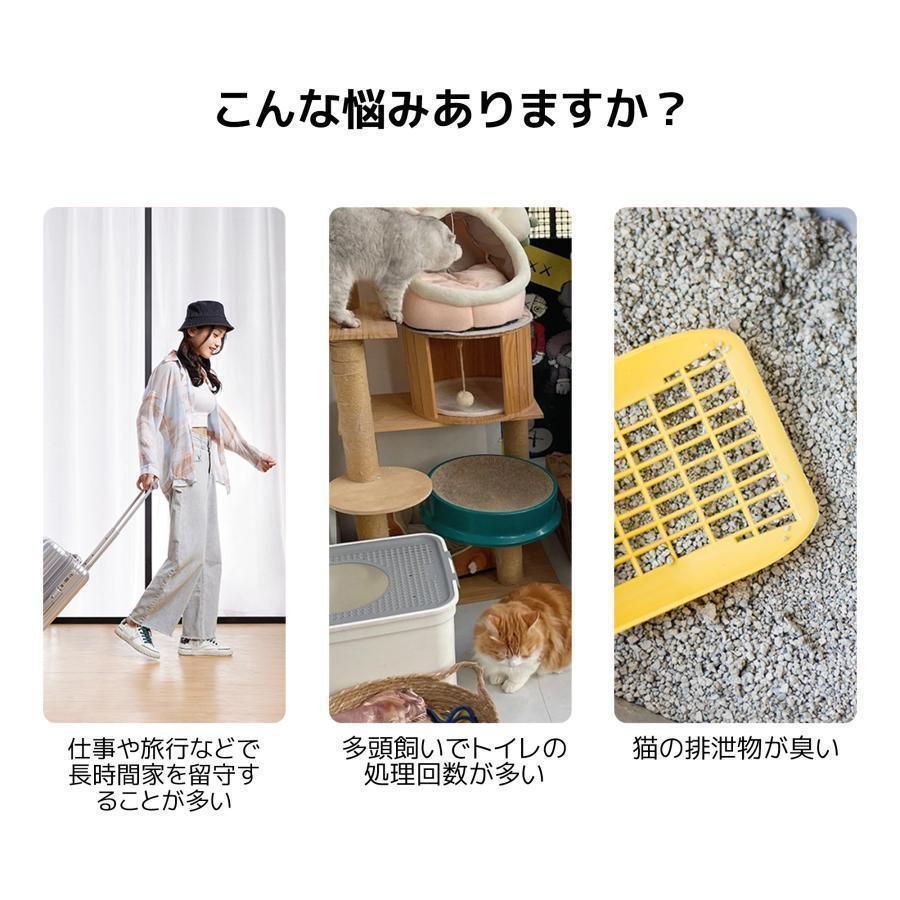 在庫一掃 猫