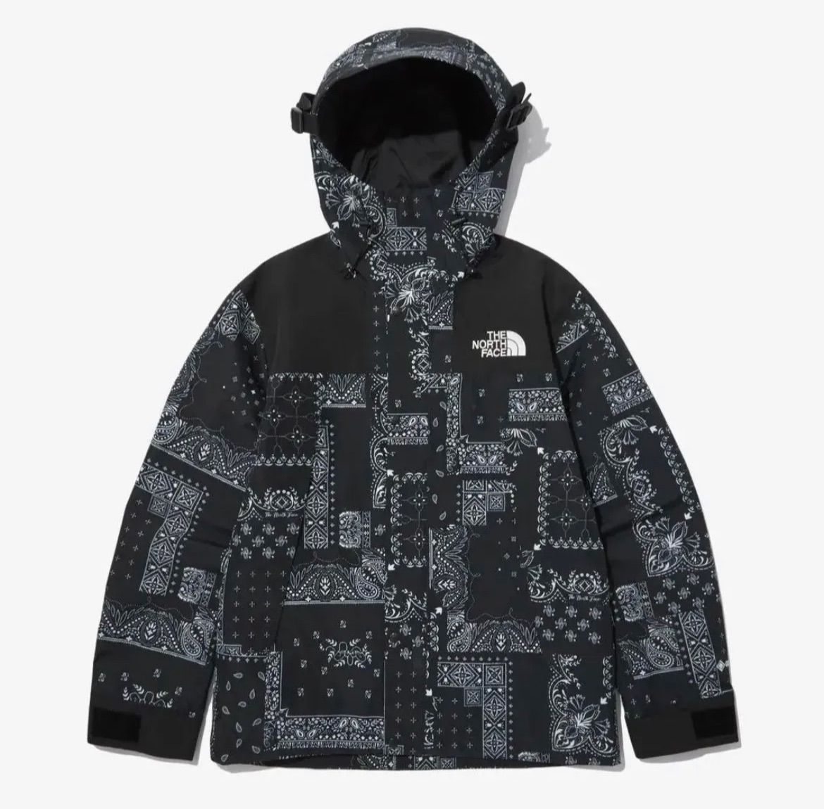 ダウンジャケットTHE NORTH FACE ペイズリー柄