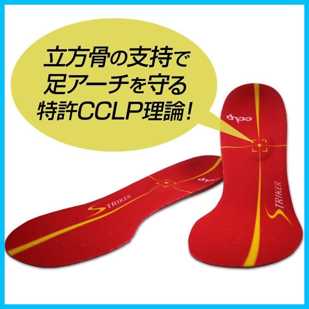 足裏感覚 BMZ