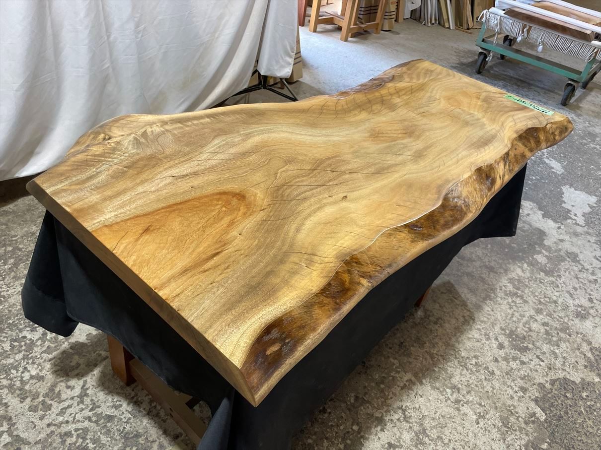 クス3888　楠　一枚板無垢材　1550x600‐700‐600x50mm ダイニングテーブル 　ローテーブル　センターテーブル　天板　樟　くすのき
