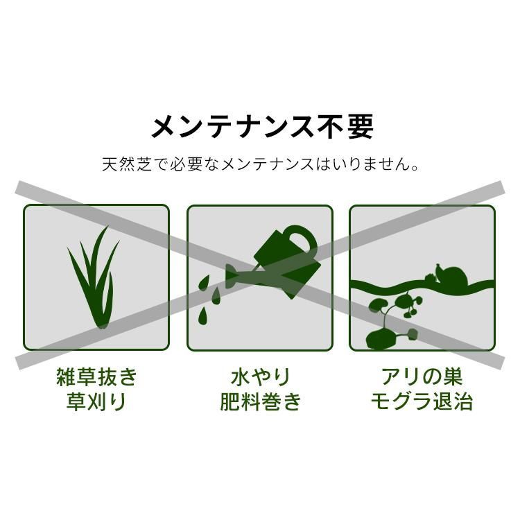 2個セット