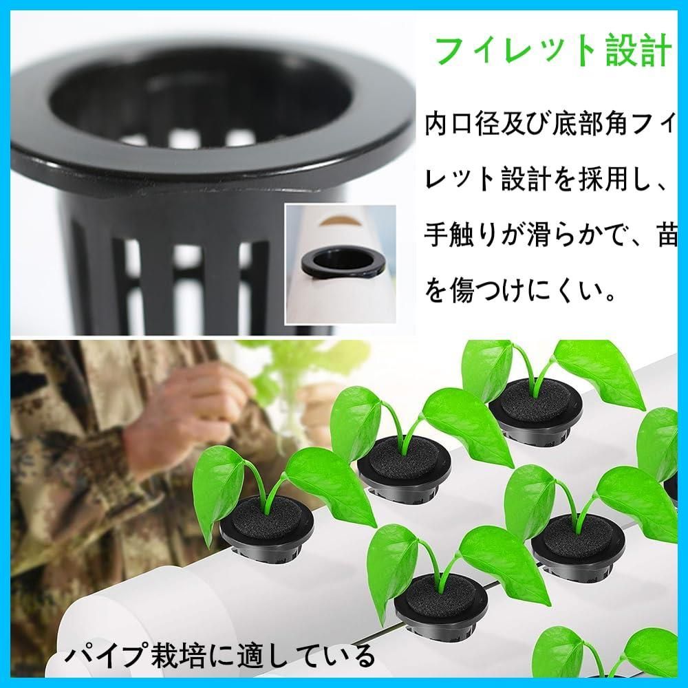 植物栽培 苗運搬