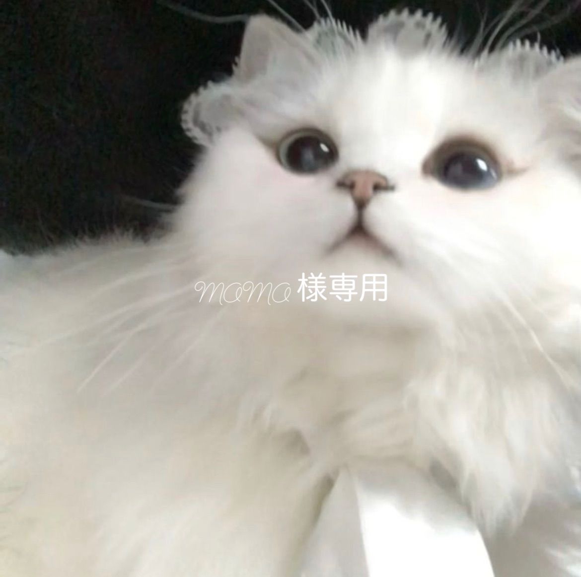 momo様専用 - メルカリ