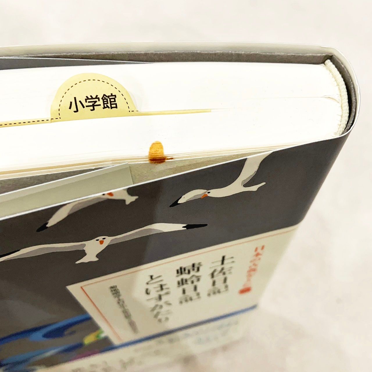 新潮日本古典集成 39冊セット まとめ売り 徒然草 枕草子 平家物語 新潮日本古典集成》枕草子 上』 清少納言 | 新潮社