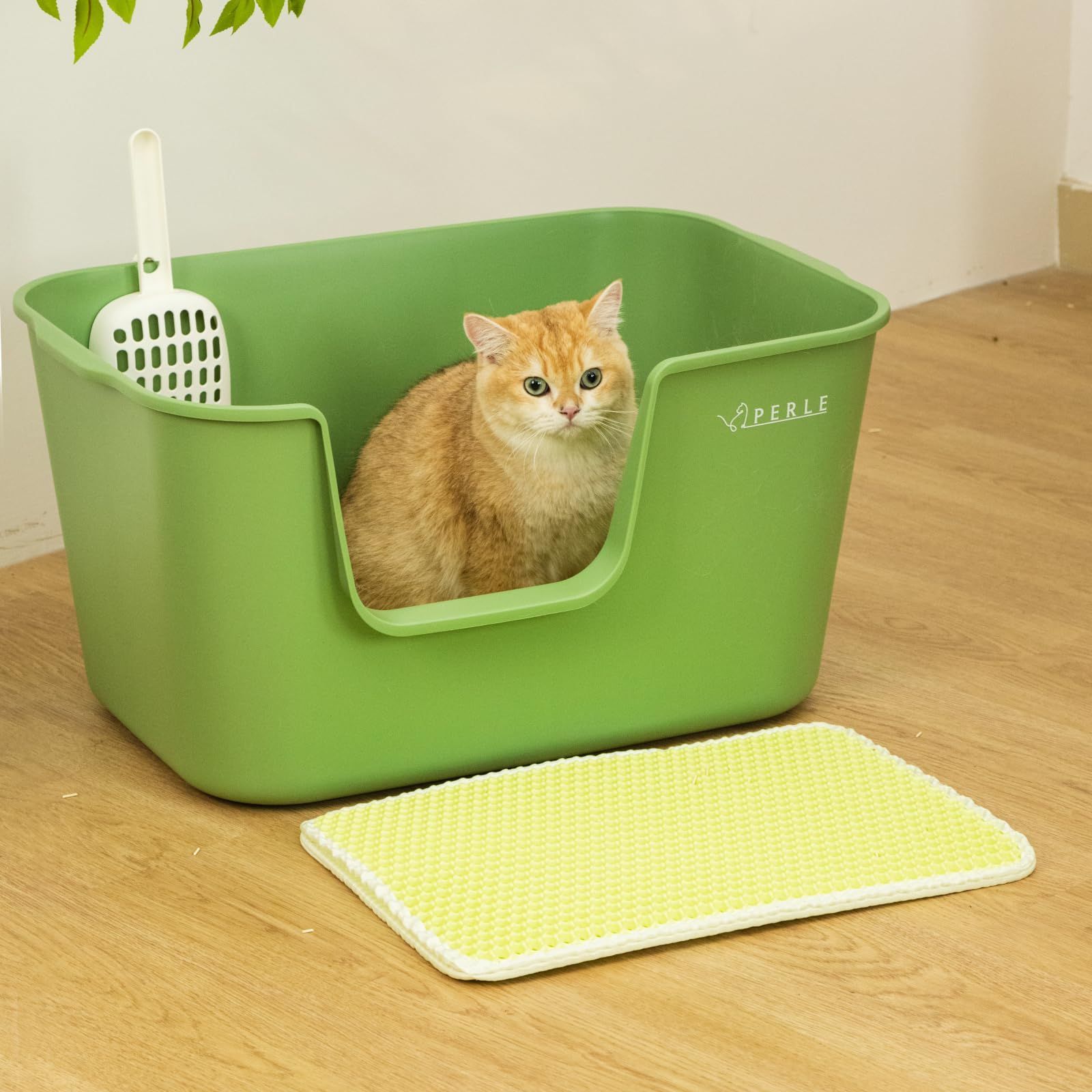 Perle 猫用トイレセット 猫砂マット スコップ付き お得 超大型 オープンタイプ 大きい猫 複数猫 本体 簡単掃除 清潔 ねこ トイレ 大きい  飛散防止 幅62.5cm×奥42.5cm×高32.5cm【入口】幅22cm 高15cm (グリーン) - メルカリ