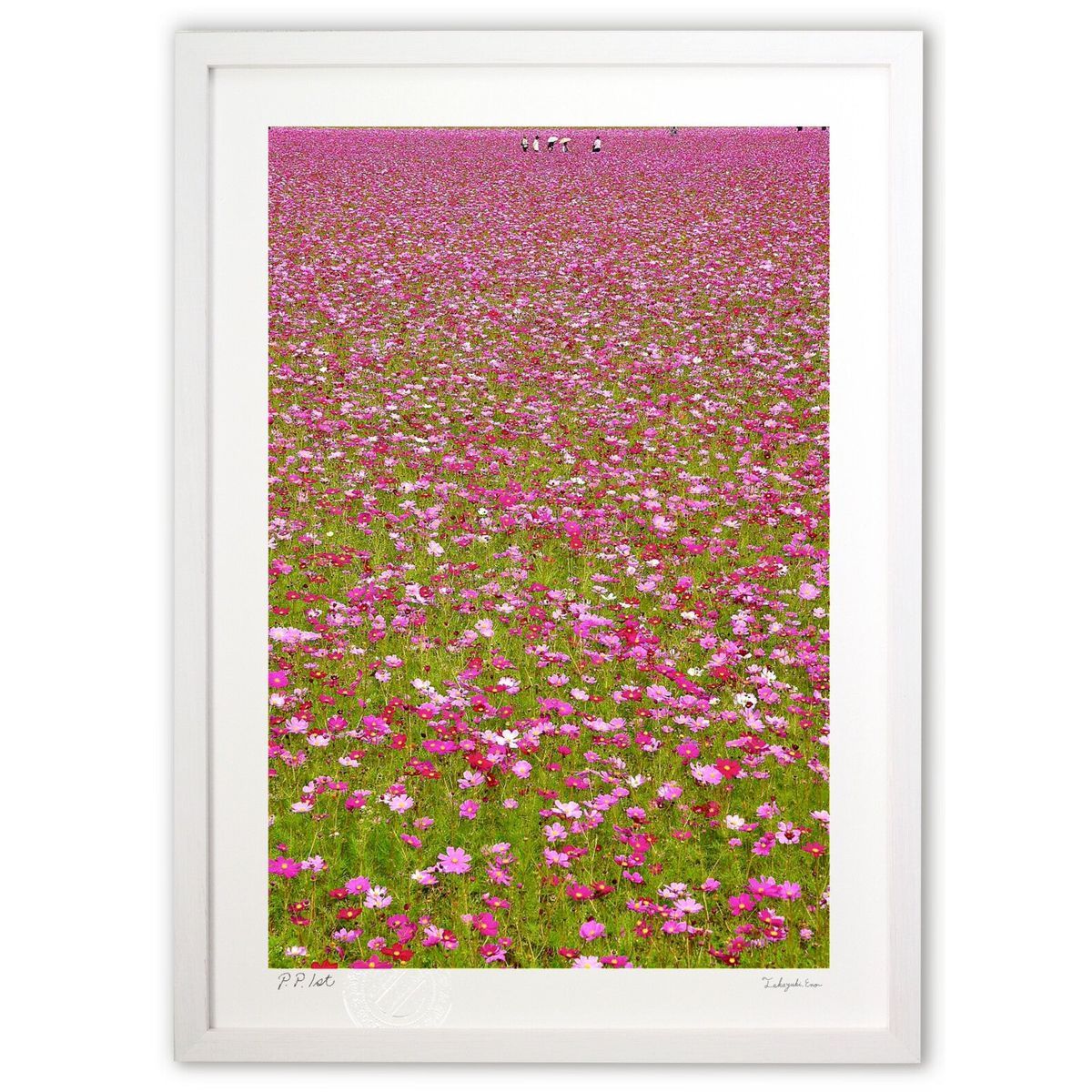 川島孝之 油絵 油彩 風景画 北アルプスオンライン ストア 川島孝之