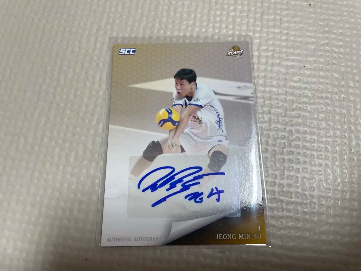 プロバレーボール選手のサイン ミントモール / MINT 立川店 / 2024