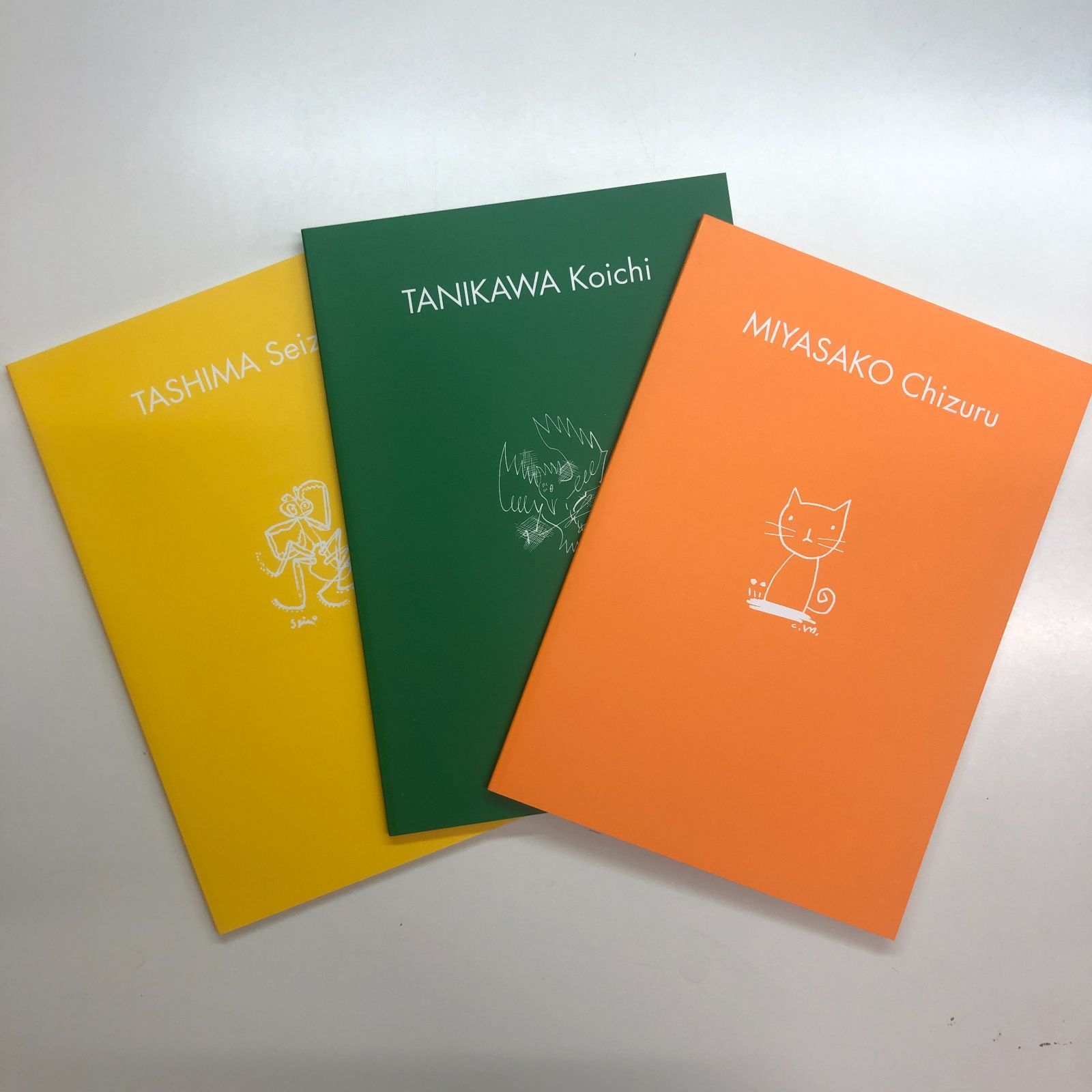 図録 田島征三 谷川晃一 宮迫千鶴 三人展 <<R-3-182313523