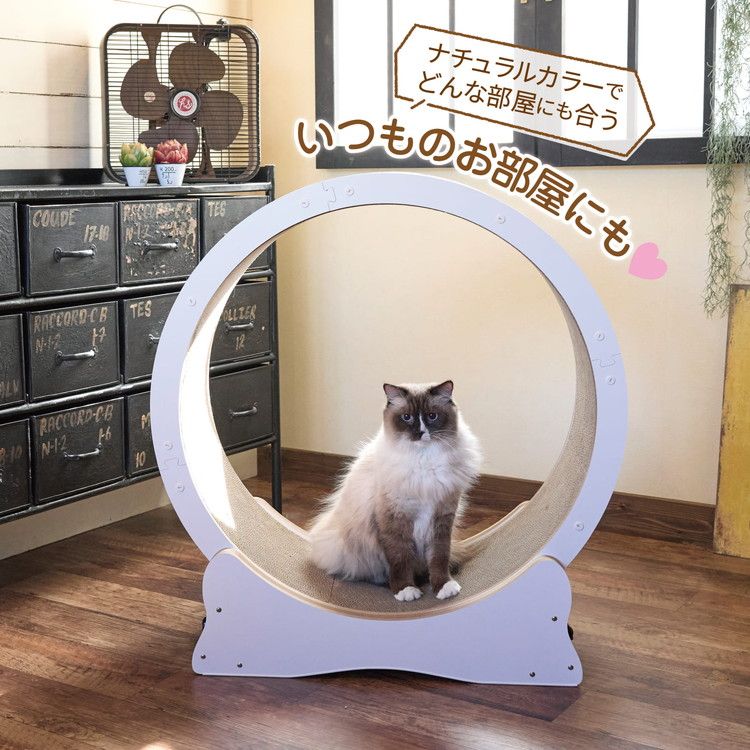 ホワイト
